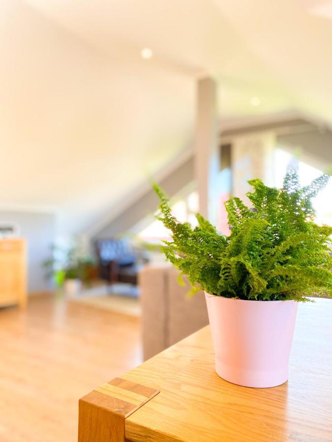 Fewo Sulzer Siedlung Erfurt Apartment Luaran gambar